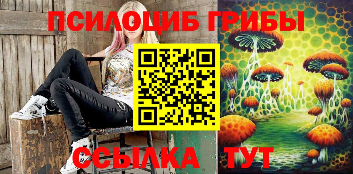 Псилоцибиновые грибы GOLDEN TEACHER Иваново