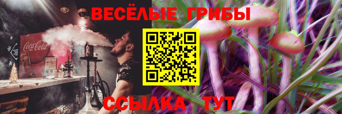 Иваново  Псилоцибиновые грибы MAGIC MUSHROOMS  Вход с VPN  Псилоцибиновые грибы прущие грибы 